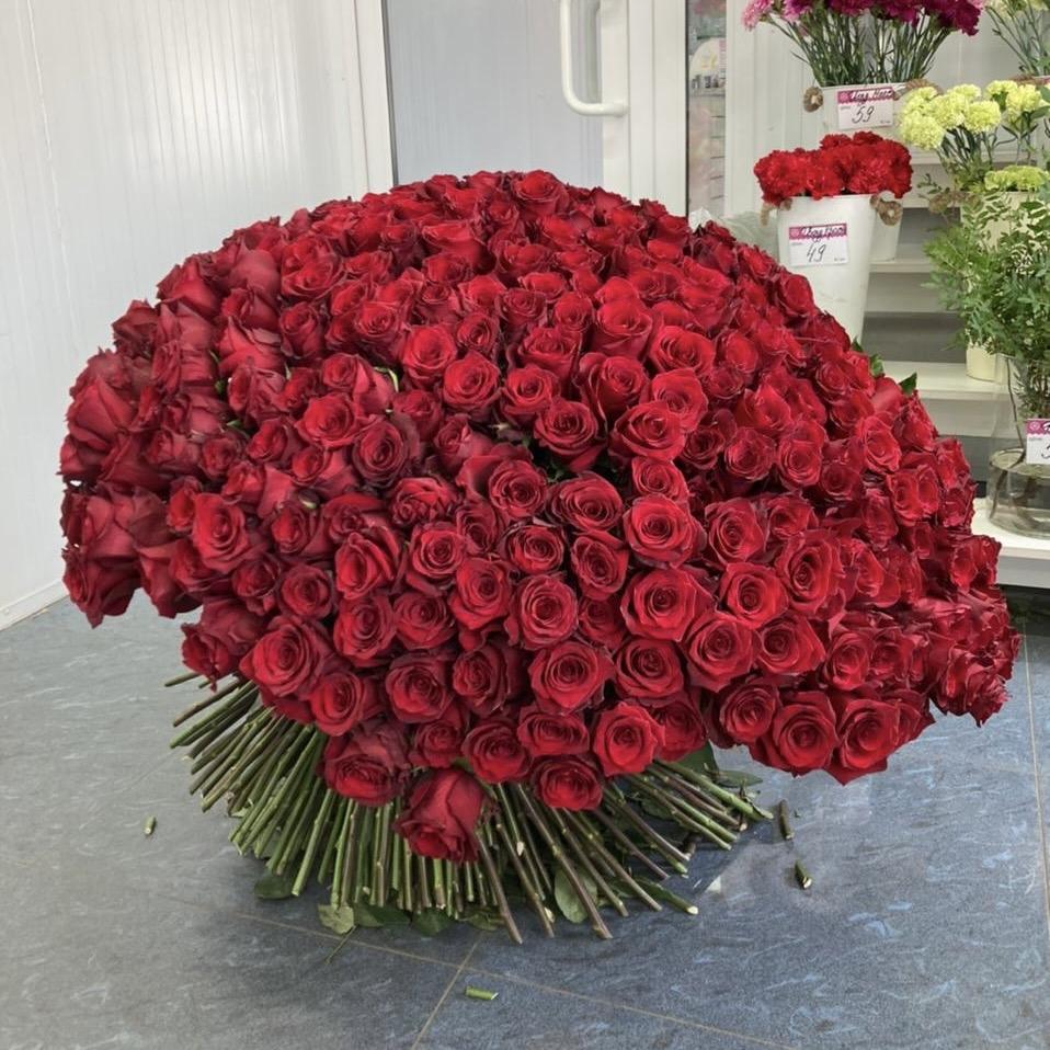 Букеты из красных роз 80 см (Эквадор) [№: 24240sr]
