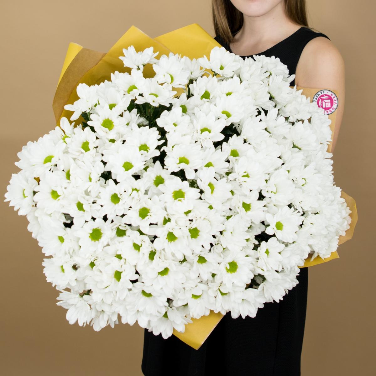 Хризантема белая (ромашка) articul  360srtv