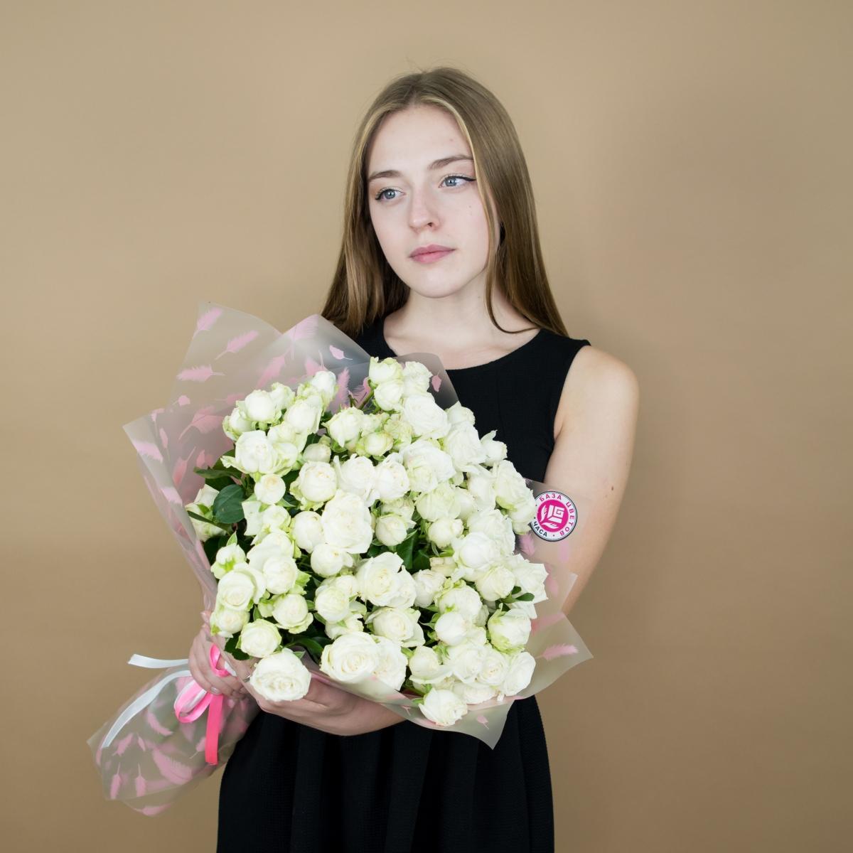 Розы кустовые белые артикул  480srt