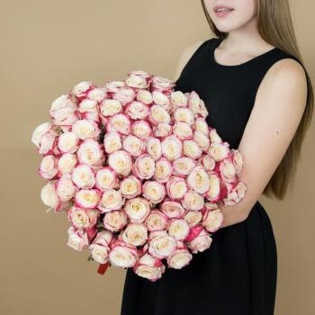 Розы красно-белые 75 шт 40 см (Эквадор) (код - 10660srtv)