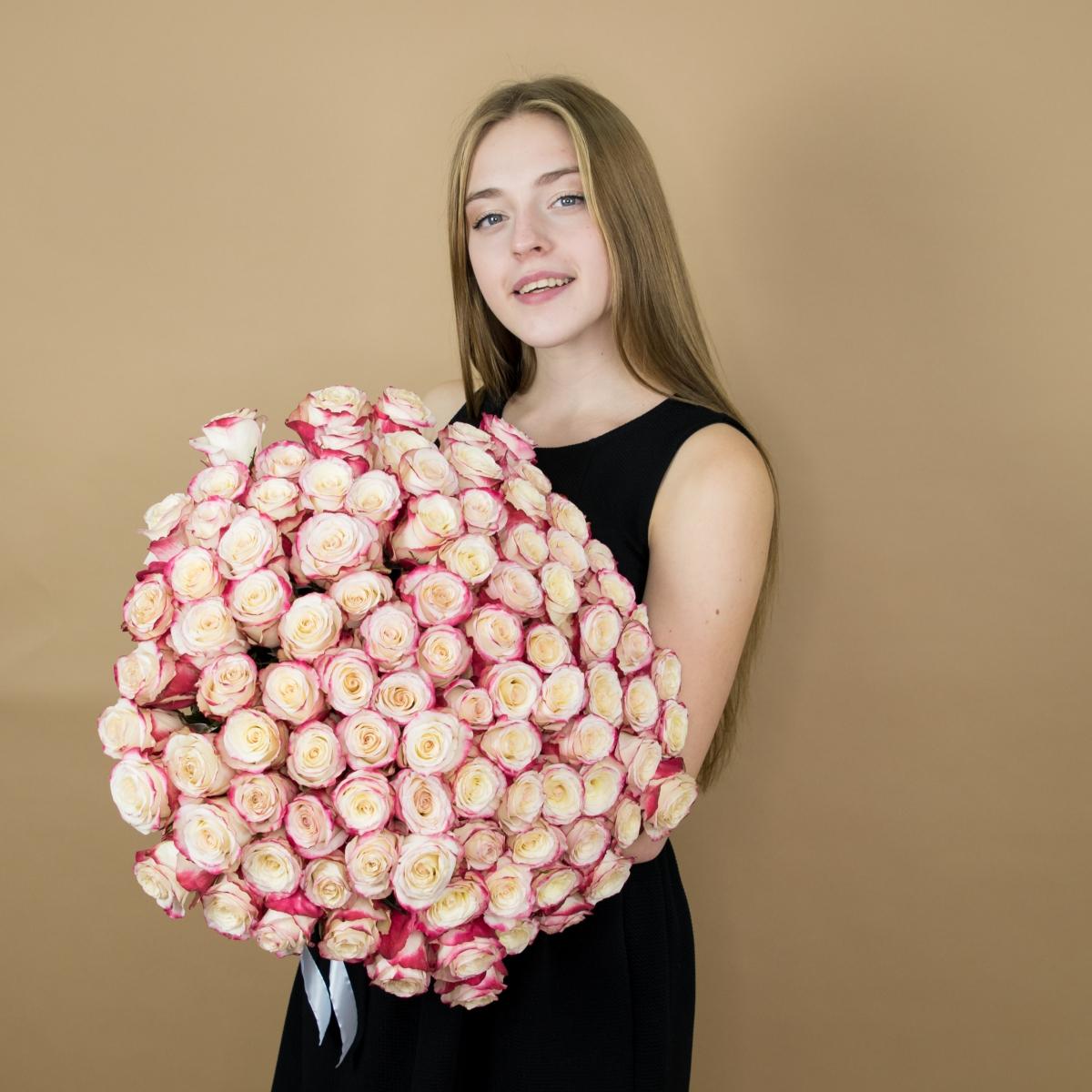 Розы красно-белые 101 шт. (40 см) артикул  10680srtv