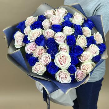 Белая и Синяя Роза 51шт 70см (Эквадор) (артикул букета: 13720srt)